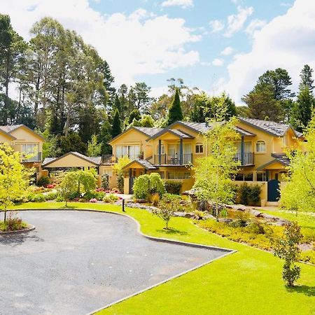 Falls Mountain Retreat Blue Mountains Wentworth Falls Exteriör bild