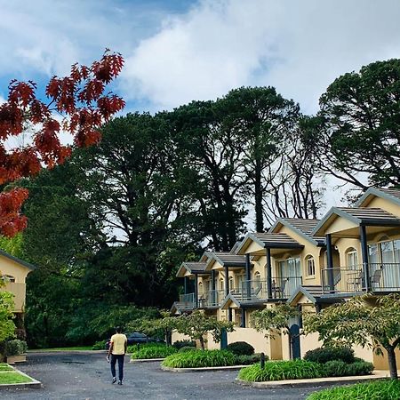 Falls Mountain Retreat Blue Mountains Wentworth Falls Exteriör bild
