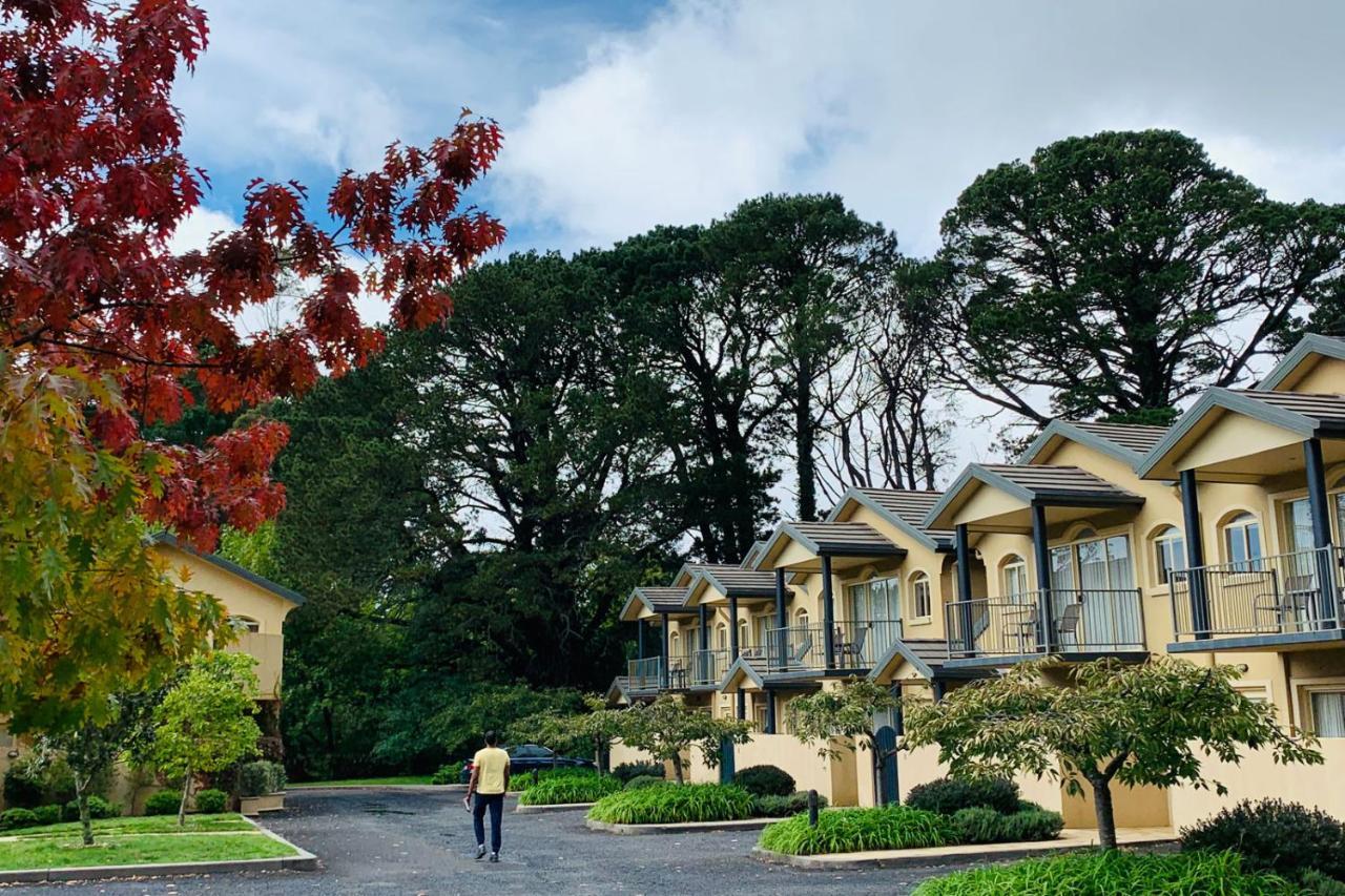 Falls Mountain Retreat Blue Mountains Wentworth Falls Exteriör bild